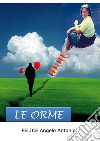 Le orme libro