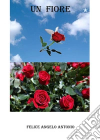 Un fiore