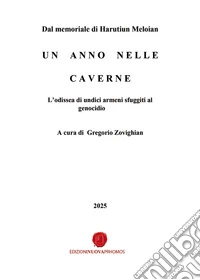 Un anno nelle caverne. L'odissea di undici armeni sfuggiti al genocidio libro