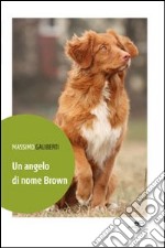 Un angelo di nome Brown libro