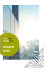 Un pezzetto di cielo libro