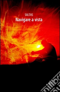 Navigare a vista libro