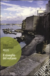 Il risveglio del vulcano