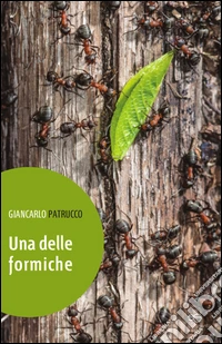 Una delle formiche