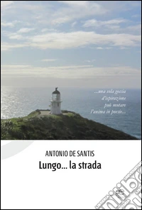 Lungo... la strada