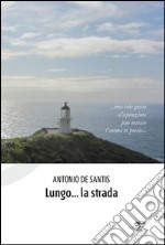 Lungo... la strada libro