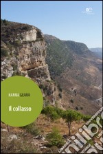 Il collasso libro