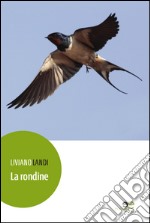 La rondine