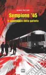 Sempione '45. Il salvataggio della galleria libro