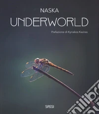 Underworld. Ediz. illustrata