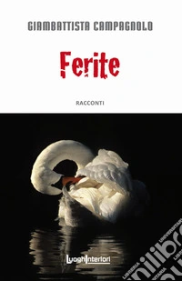 Ferite libro