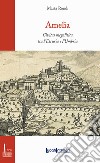 Amelia. Civitas megalitica tra l'Etruria e l'Umbria libro