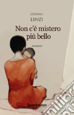 Non c'è mistero più bello libro