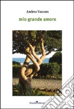 Mio grande amore libro