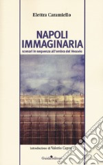 Napoli immaginaria. Scenari in sequenza all'ombra del Vesuvio libro