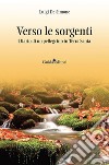 Verso le sorgenti. Diario di un pellegrino in Terra Santa libro di De Simone Luigi