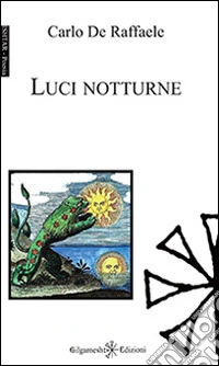 Luci notturne