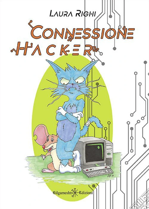 Connessione Hacker