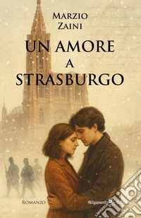 Un amore a Strasburgo libro