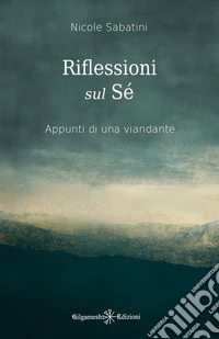 Riflessioni sul Sé. Appunti di una viandante libro