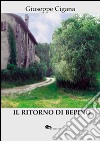 Il ritorno di Bepino libro