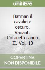 Batman il cavaliere oscuro. Variant. Cofanetto anno II. Vol. 13 libro