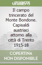 Il campo trincerato del Monte Bondone. Capisaldi austriaci attorno alla città di Trento 1915-18