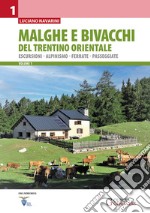 Malghe e bivacchi del Trentino orientale. Escursioni, alpinismo, ferrate, passeggiate. Vol. 1 libro