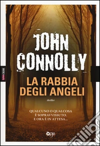 La rabbia degli angeli libro