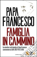 Famiglia in cammino. La catechesi sulla famiglia di papa Francesco libro