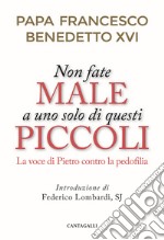 Non fate male a uno solo di questi piccoli. La voce di Pietro contro la pedofilia libro