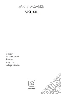 Visuali libro