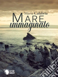 Mare immaginato libro