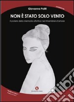 Non è stato solo vento libro