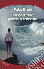 Grande il mare, grande la tempesta libro