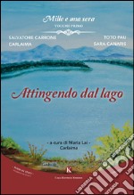 Mille e una sera. Attingendo dal lago. Vol. 1 libro