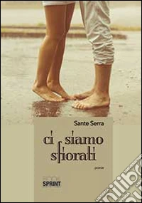 Ci siamo sfiorati libro
