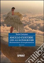 Angelo custode con ali supergrandi. Testimonianze di un piemontese libro