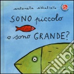 Sono piccolo o sono grande? Ediz. illustrata libro