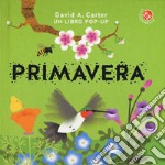 Primavera. Libro pop-up. Ediz. a colori