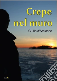 Crepe nel muro