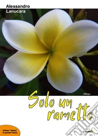 Solo un rametto