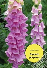 Digitalis purpurea