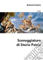 Sceneggiature di storia patria