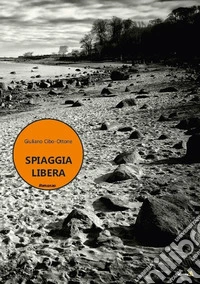 Spiaggia libera libro