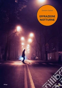 Effrazioni notturne