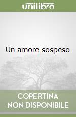 Un amore sospeso libro