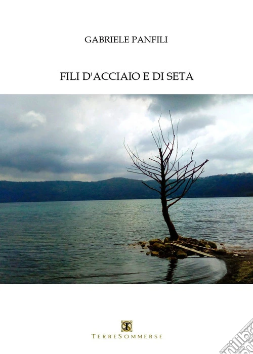 Fili d'acciaio e di seta