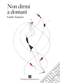Non dirmi a domani libro