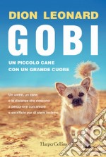 Gobi. Un piccolo cane con un grande cuore